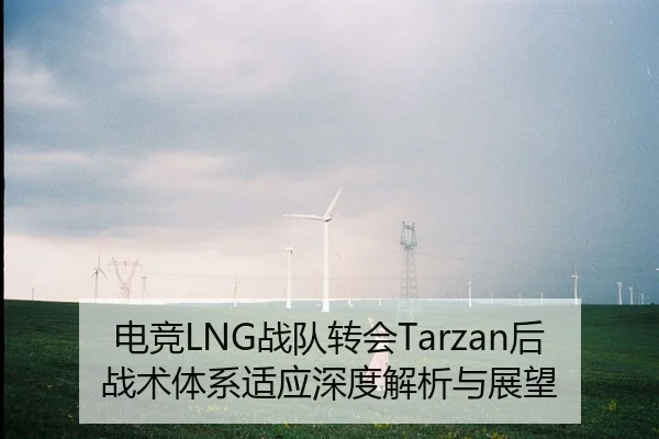 电竞LNG战队转会Tarzan后战术体系适应深度解析与展望