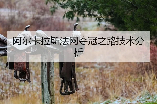 阿尔卡拉斯法网夺冠之路技术分析